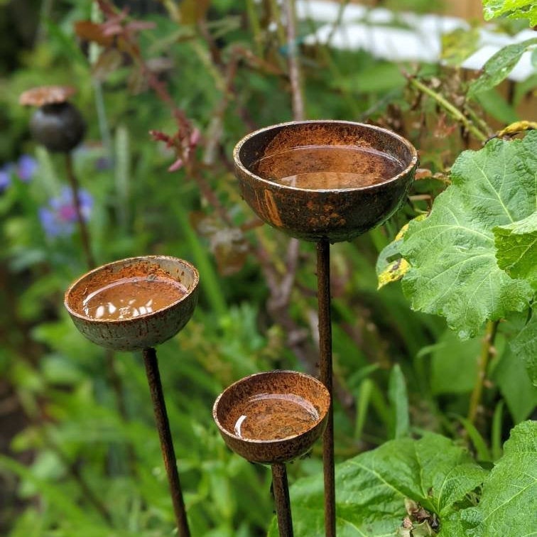 Rain Catcher Plant Support – Rustic Metal Garden Ornament
