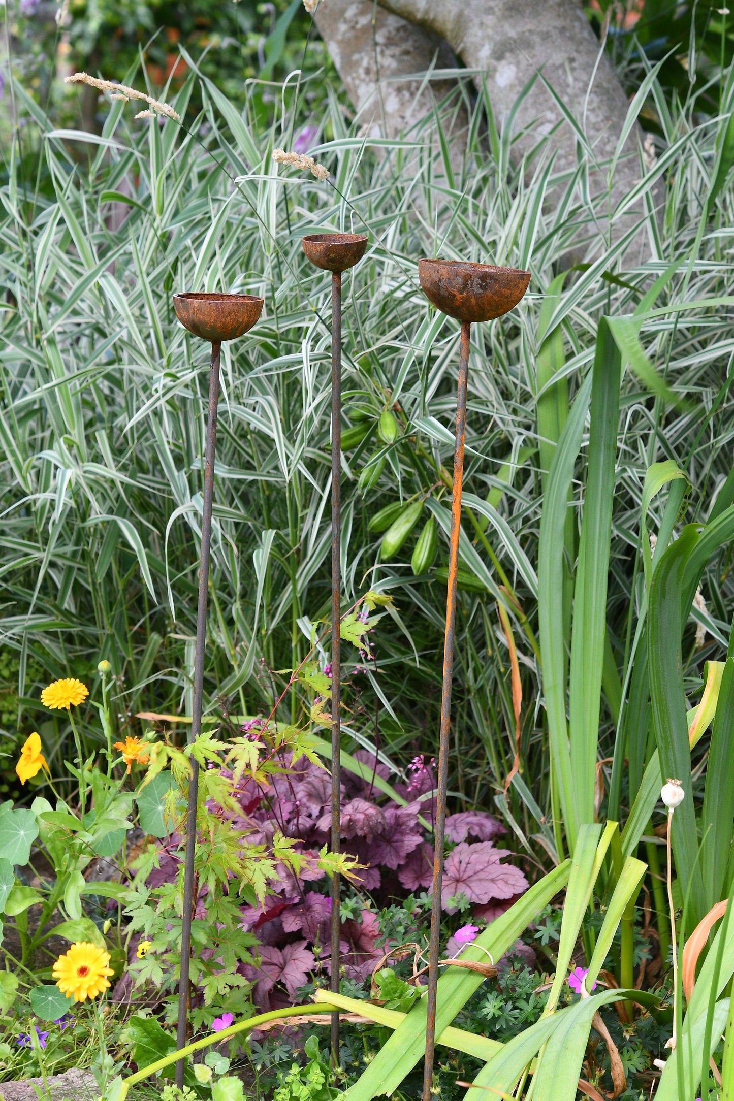 Rain Catcher Plant Support – Rustic Metal Garden Ornament