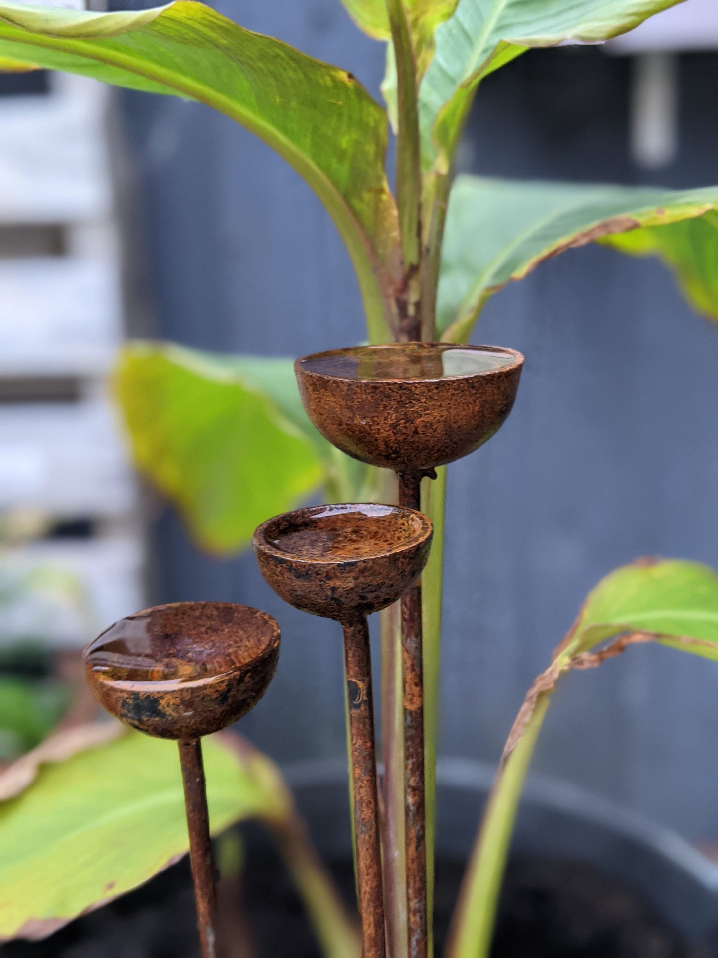 Small Rain Catcher Trio Garden Stakes