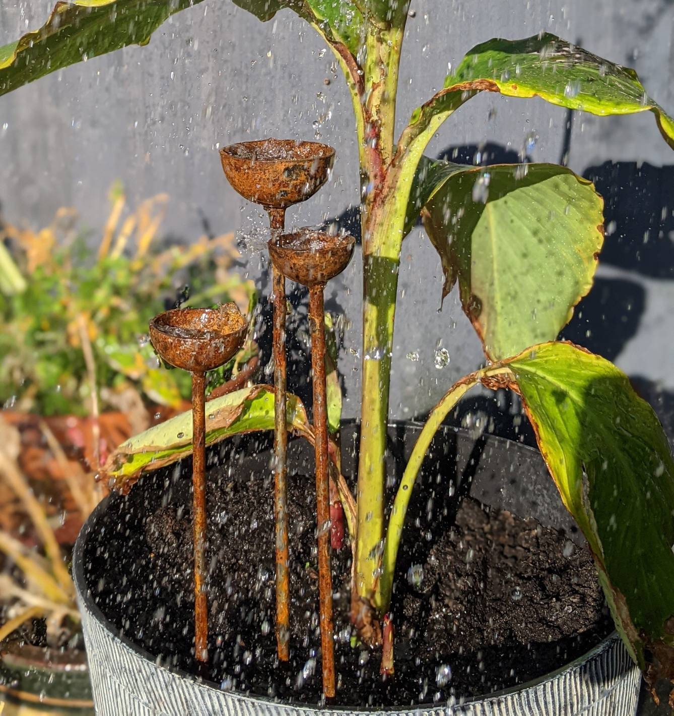 Small Rain Catcher Trio Garden Stakes