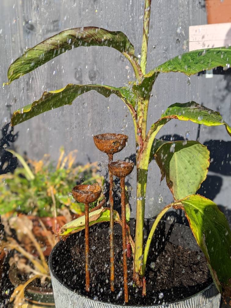 Small Rain Catcher Trio Garden Stakes