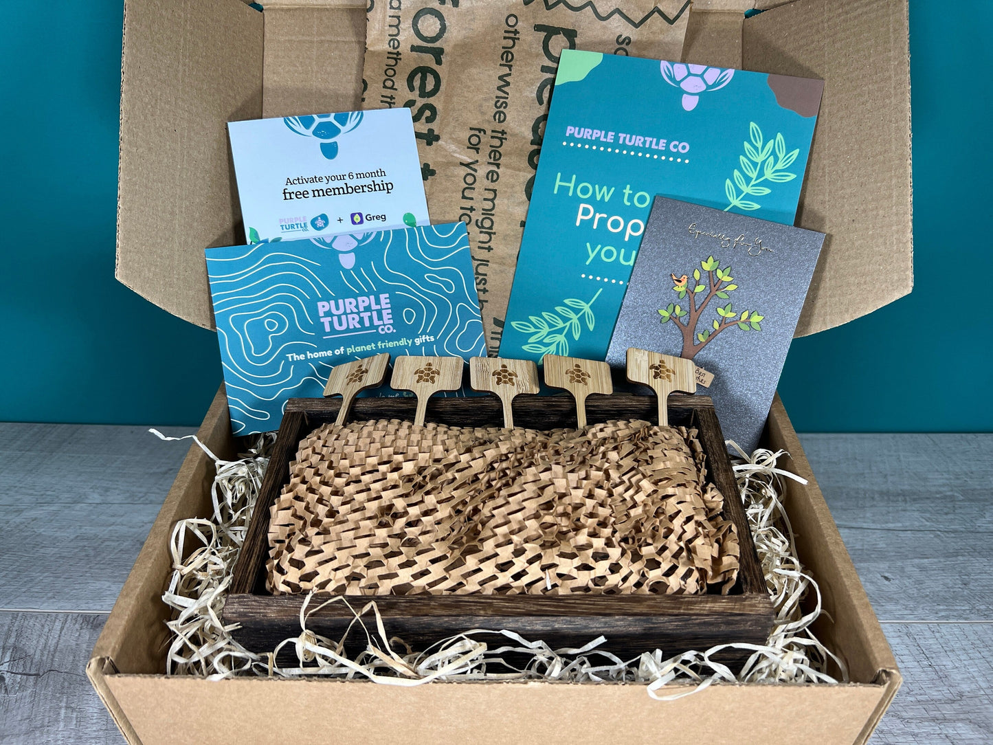 Plant Propagation Gift Set #7