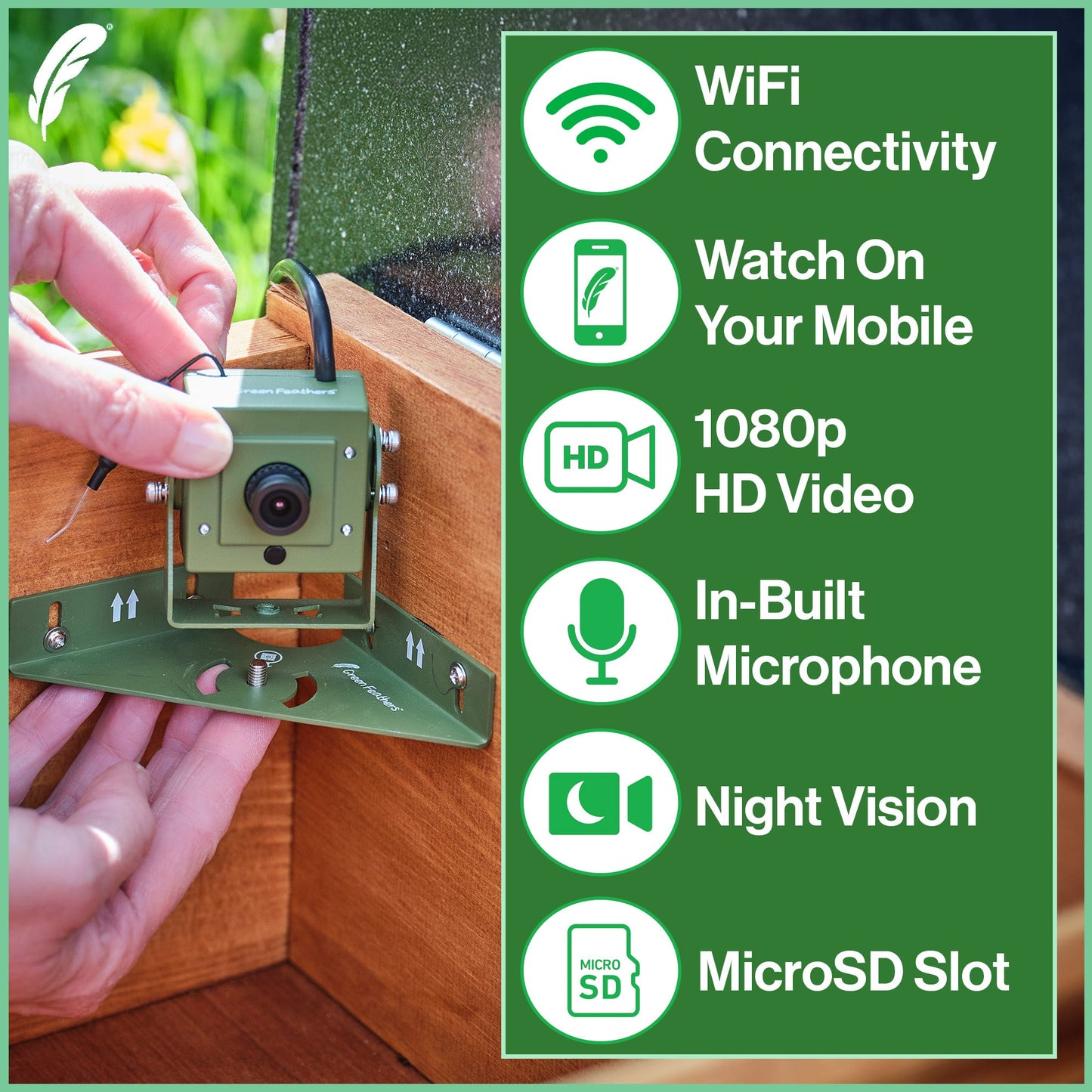 Green Feathers WiFi Hedgehog Box HD Camera Pack