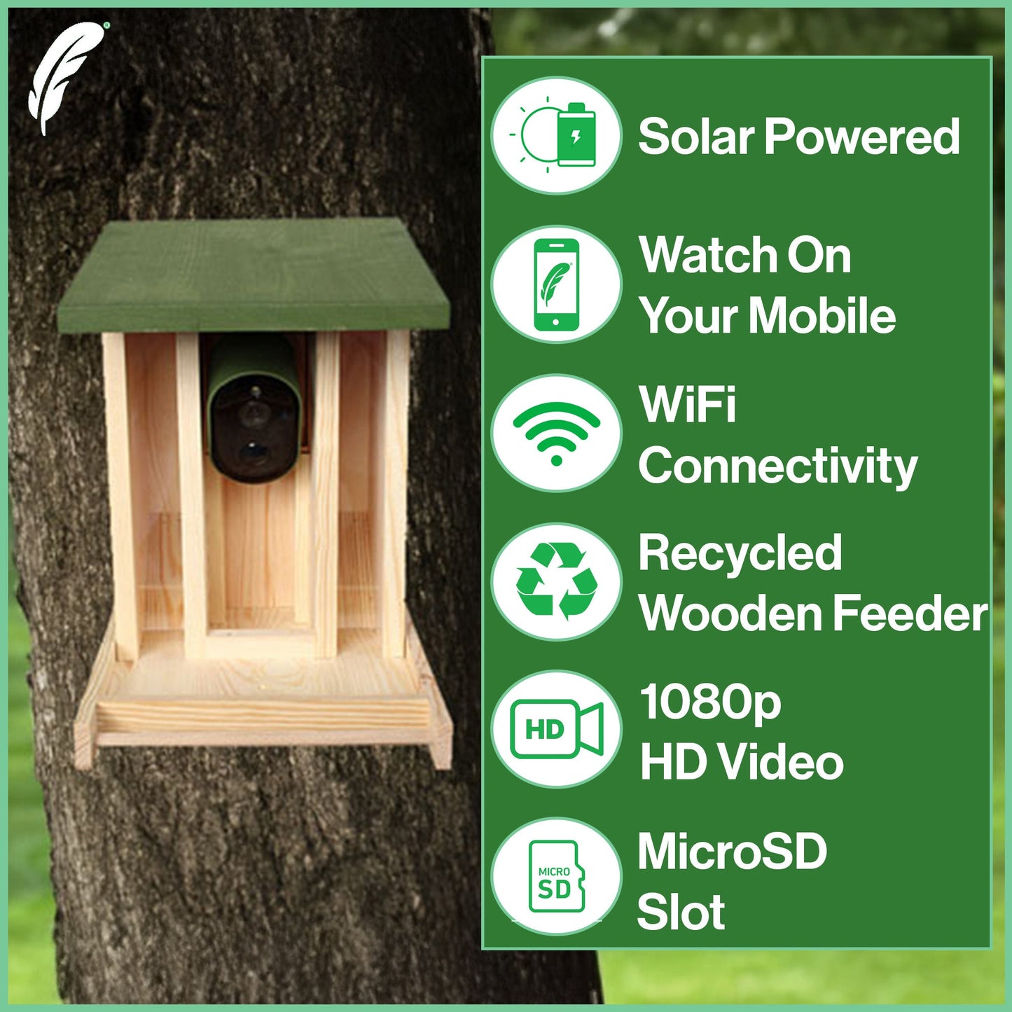 Green Feathers Solar Powered WiFi Camera Wooden Bird Feeder Kit