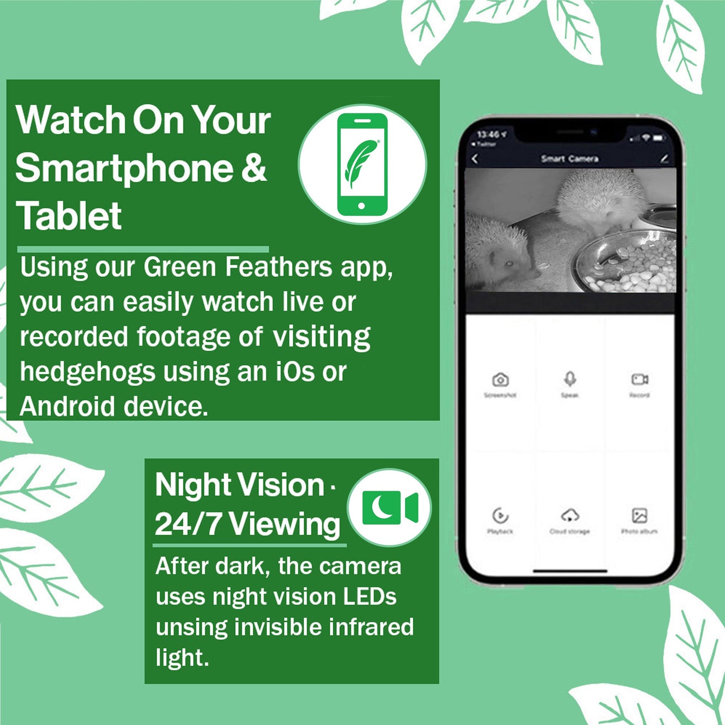 Green Feathers WiFi Hedgehog Box HD Camera Pack