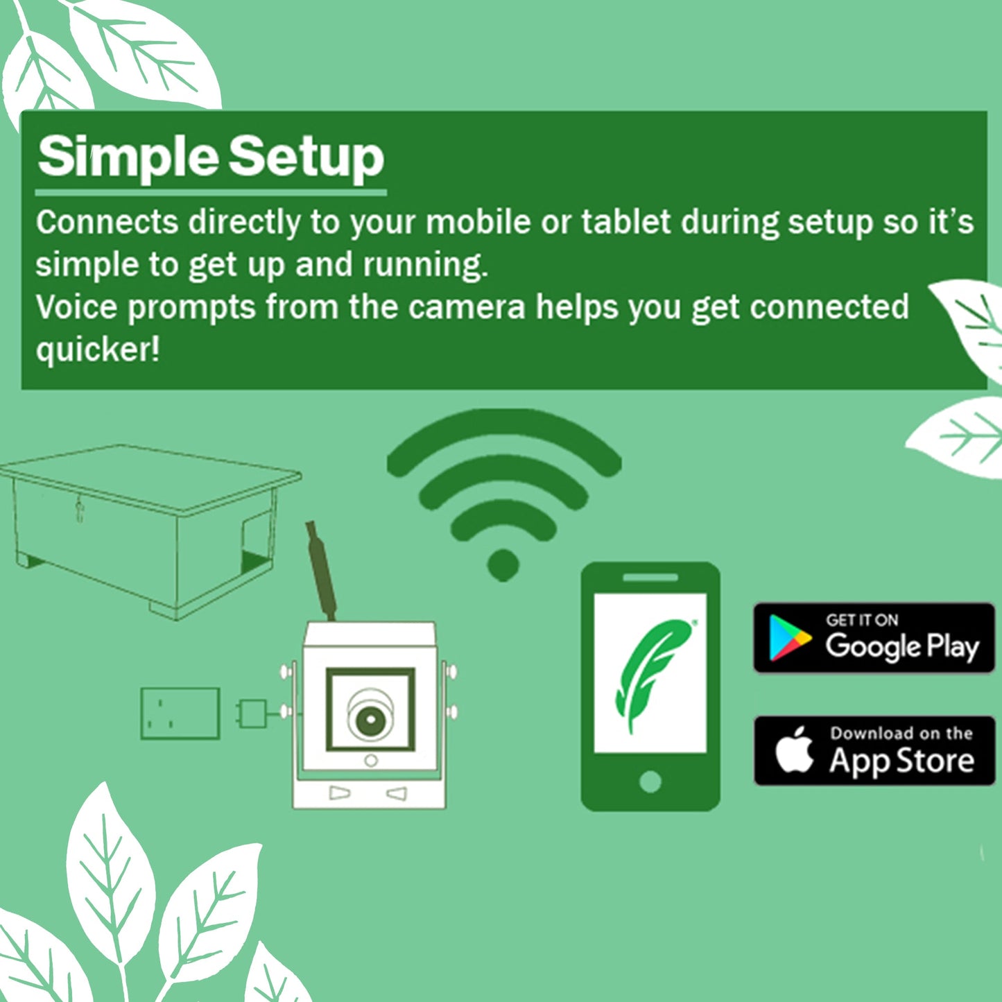 Green Feathers WiFi Hedgehog Box HD Camera Pack