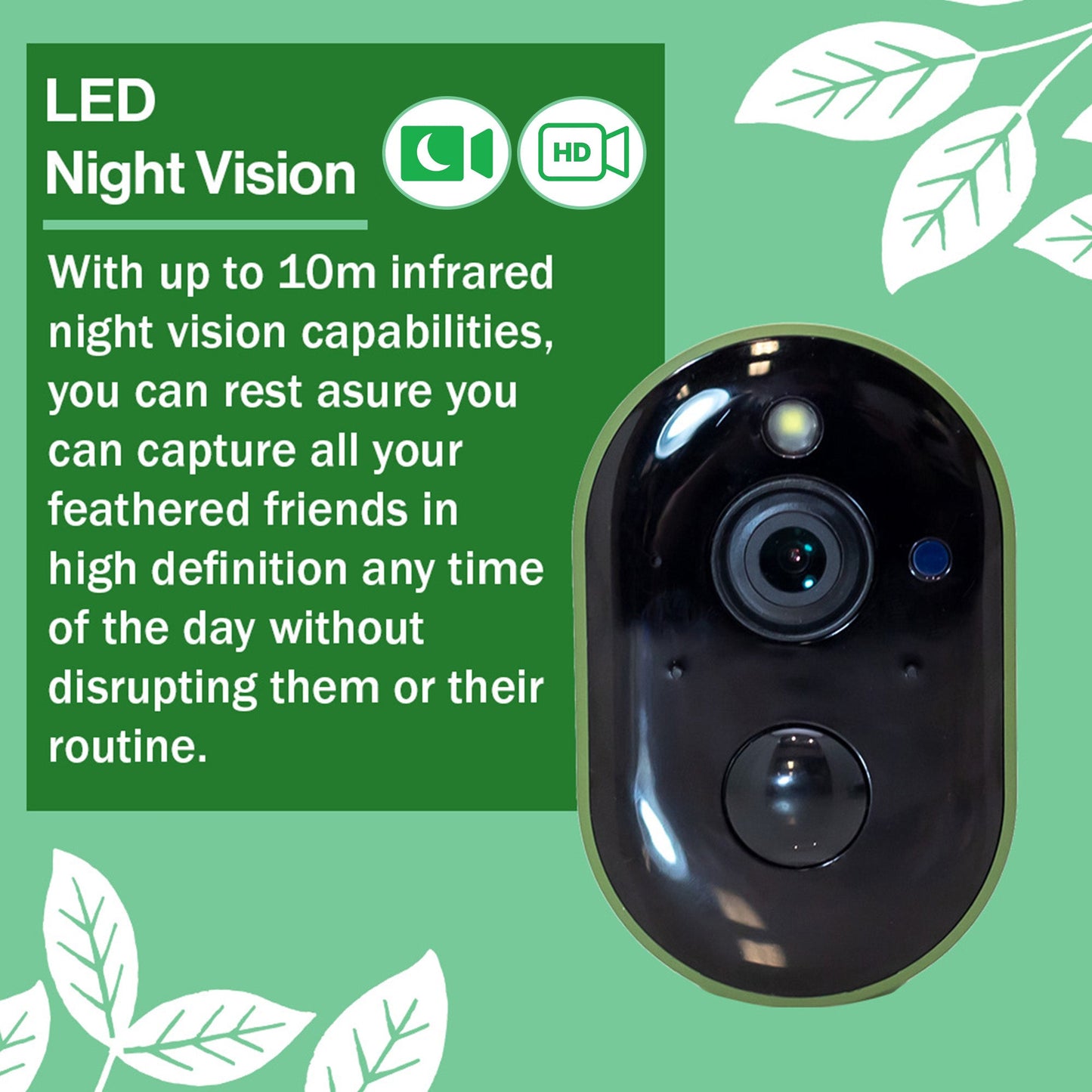 Green Feathers Solar Powered WiFi Bird Box HD Camera Complete Pack
