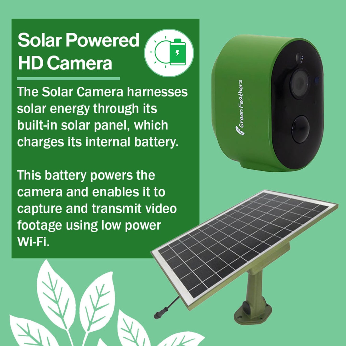 Green Feathers Solar Powered WiFi Bird Box HD Camera Starter Pack