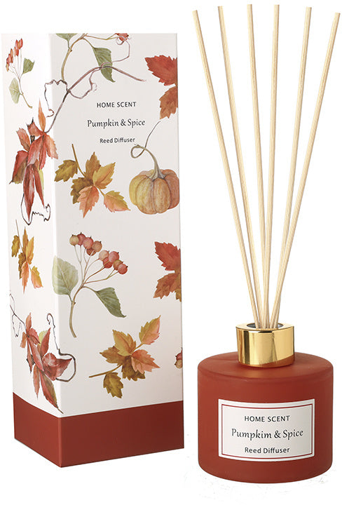 Pumpkin & Spice 100ml reed diffuser in an autumn-toned glass bottle with reeds and illustrated seasonal gift box