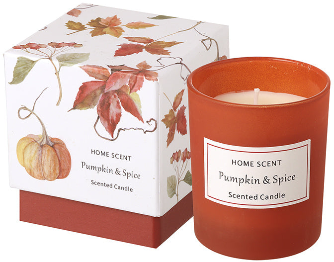 Pumpkin & Spice scented candle in an autumn-toned glass holder with illustrated seasonal gift box