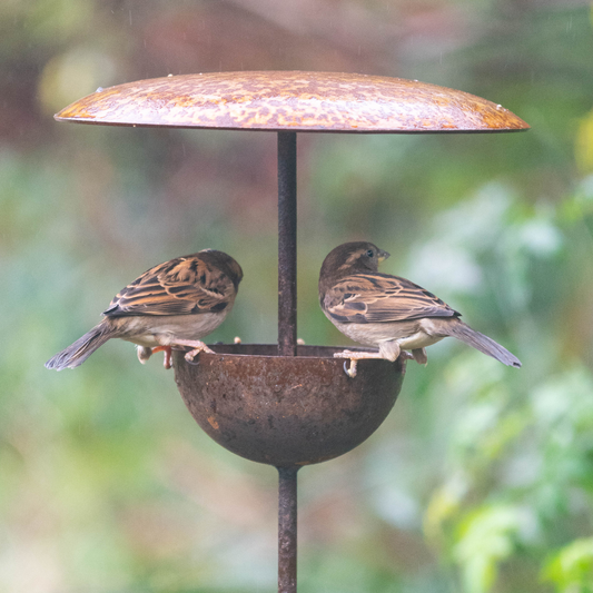 Rusty Metal Bird Feeding Stake – Steel Garden Bird Feeder