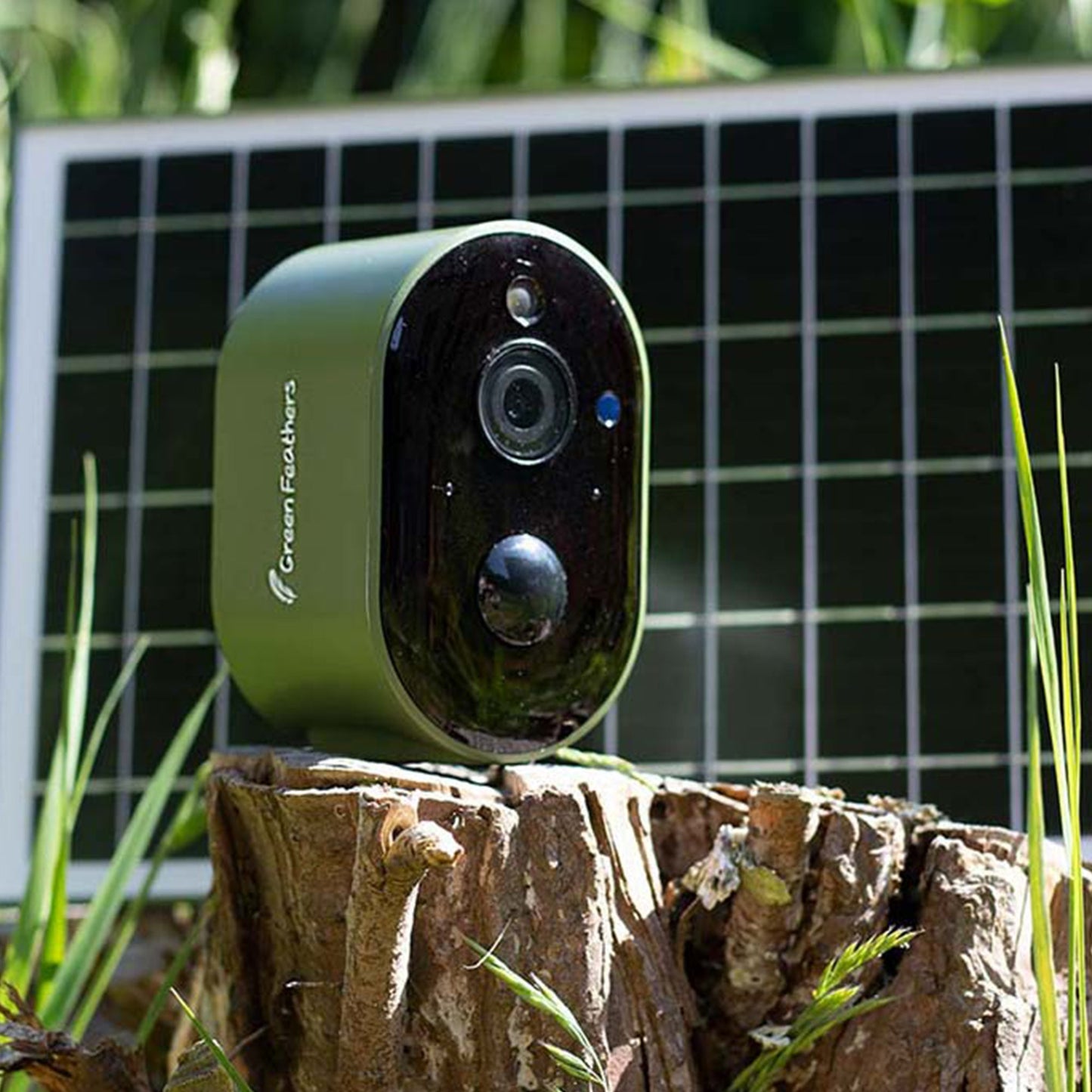 Green Feathers Solar Powered WiFi Bird Box HD Camera Complete Pack