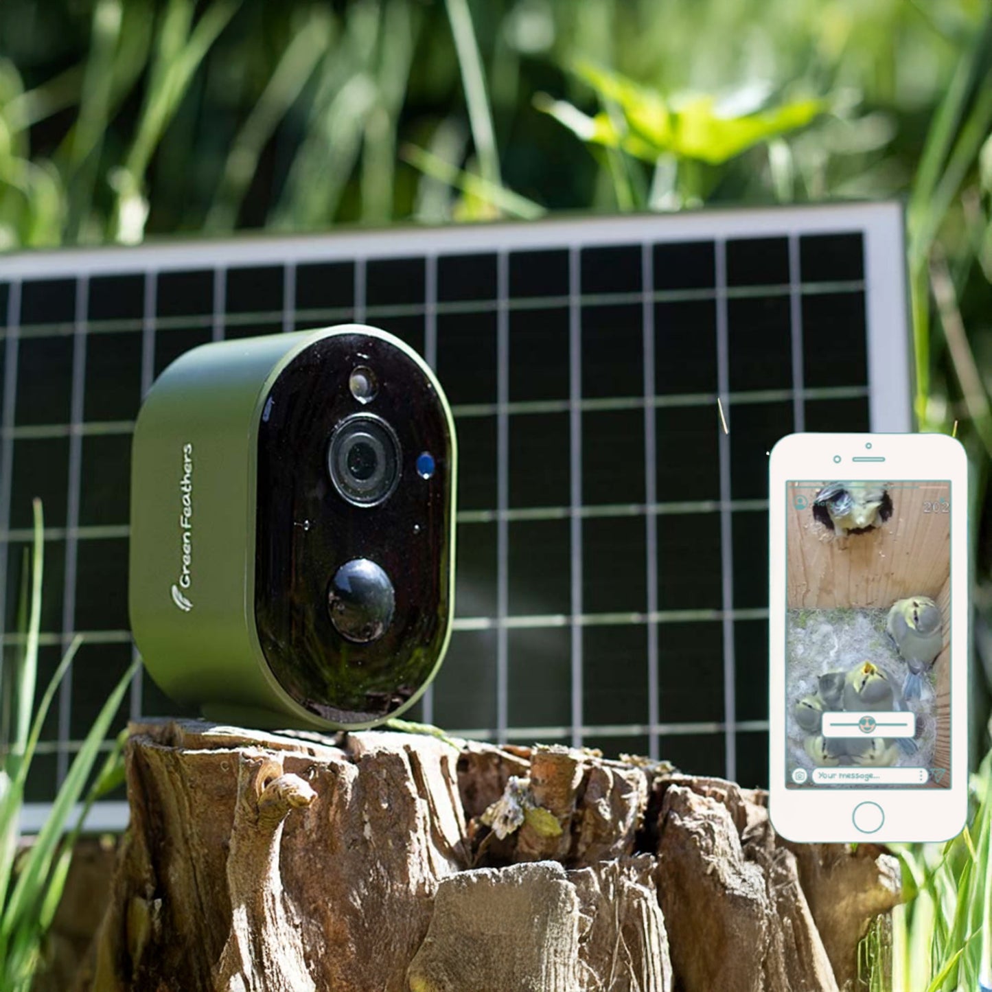 Green Feathers Solar Powered WiFi Bird Box HD Camera Complete Pack