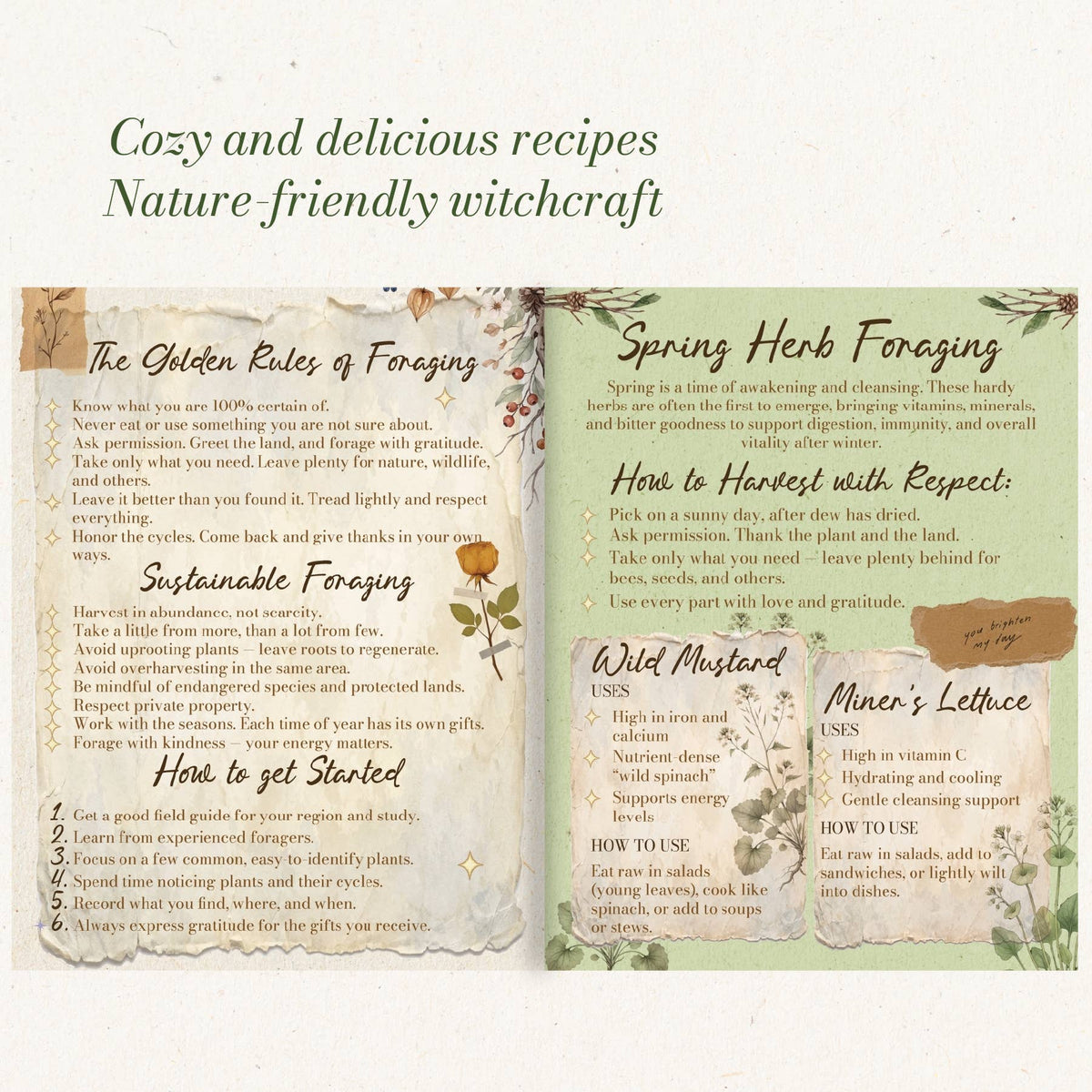 The Countryside Witch interior spread featuring nature-friendly witchcraft, countryside folklore and illustrated guidance