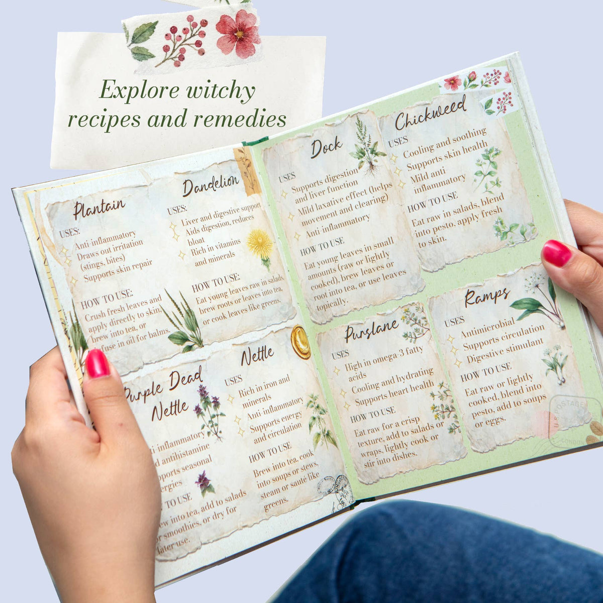 The Countryside Witch open book showing illustrated recipes, foraging ideas and seasonal ingredients