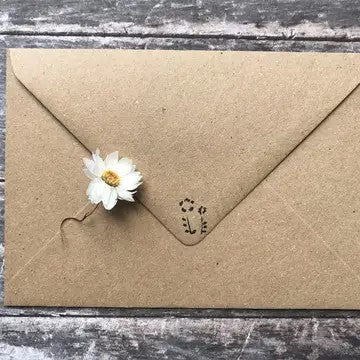 Plantable Seed Paper Birthday Card, Blank Inside (COL HB)