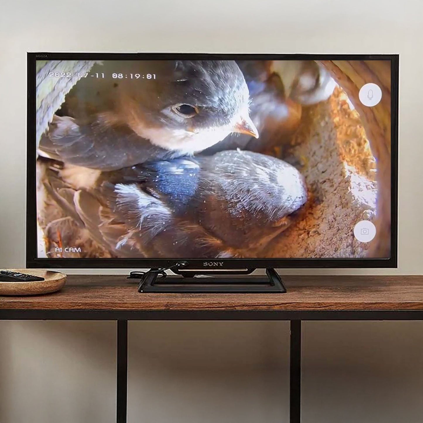 Green Feathers Cable Connection Bird Box & Wildlife Camera