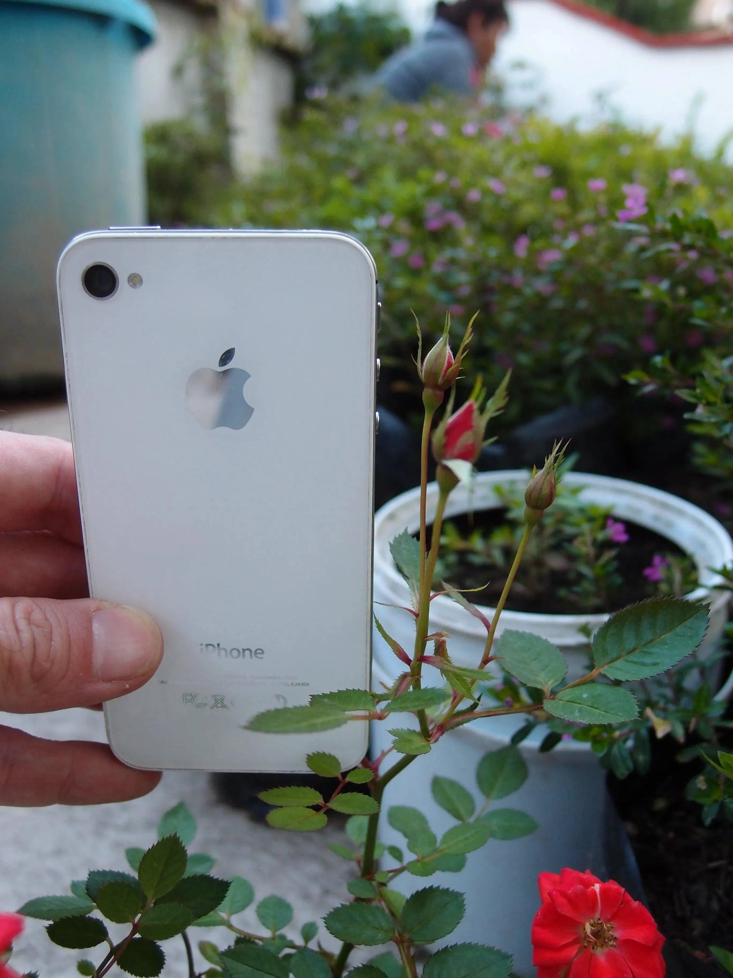 Miniature Stirling Silver Rose Necklace by Shrieking Violet