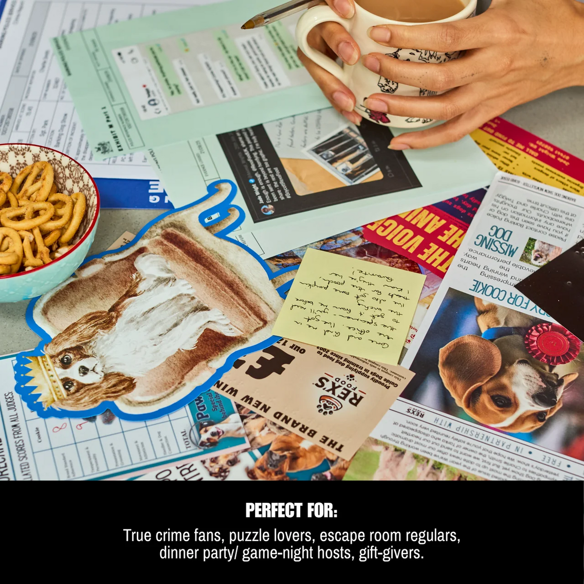 Who Let The Dogs Out? detective game being played with documents and clues arranged on a table