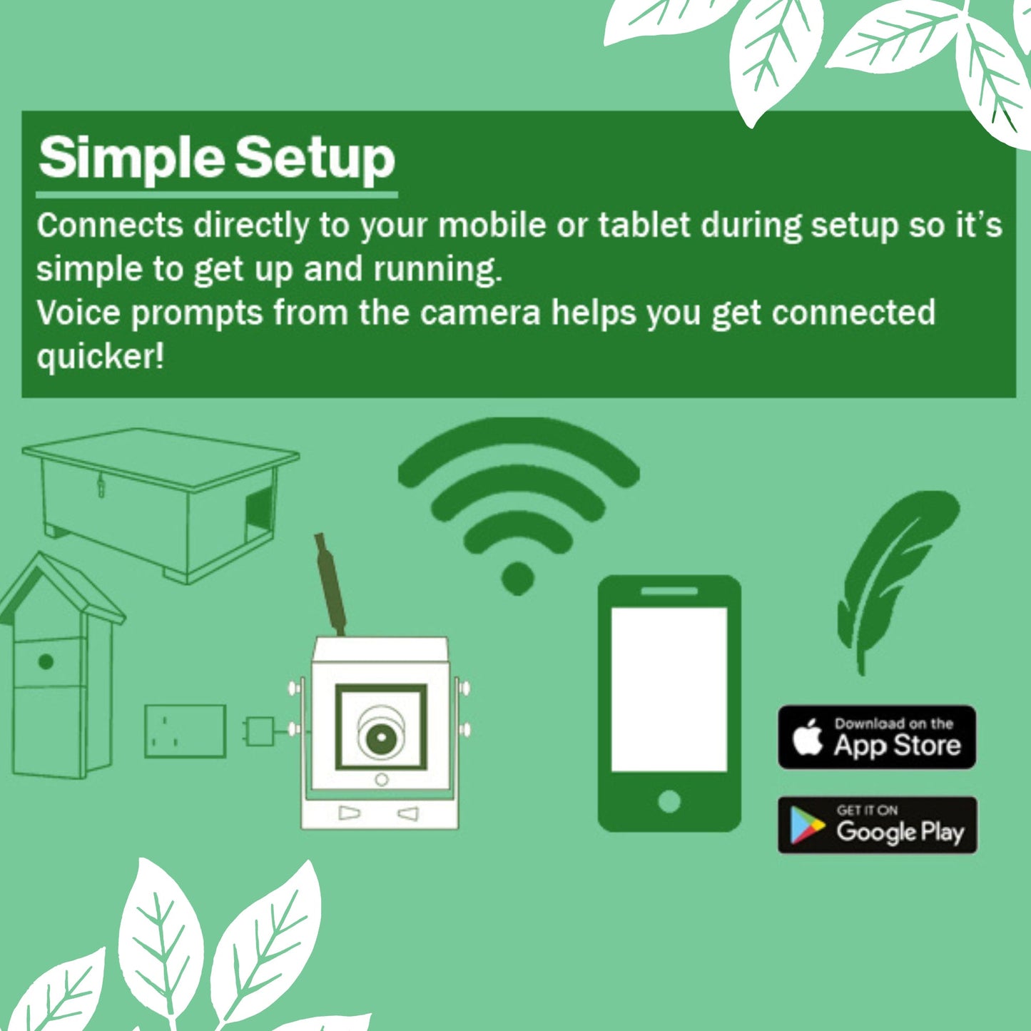 Green Feathers WiFi Bird Box HD Camera Starter Pack