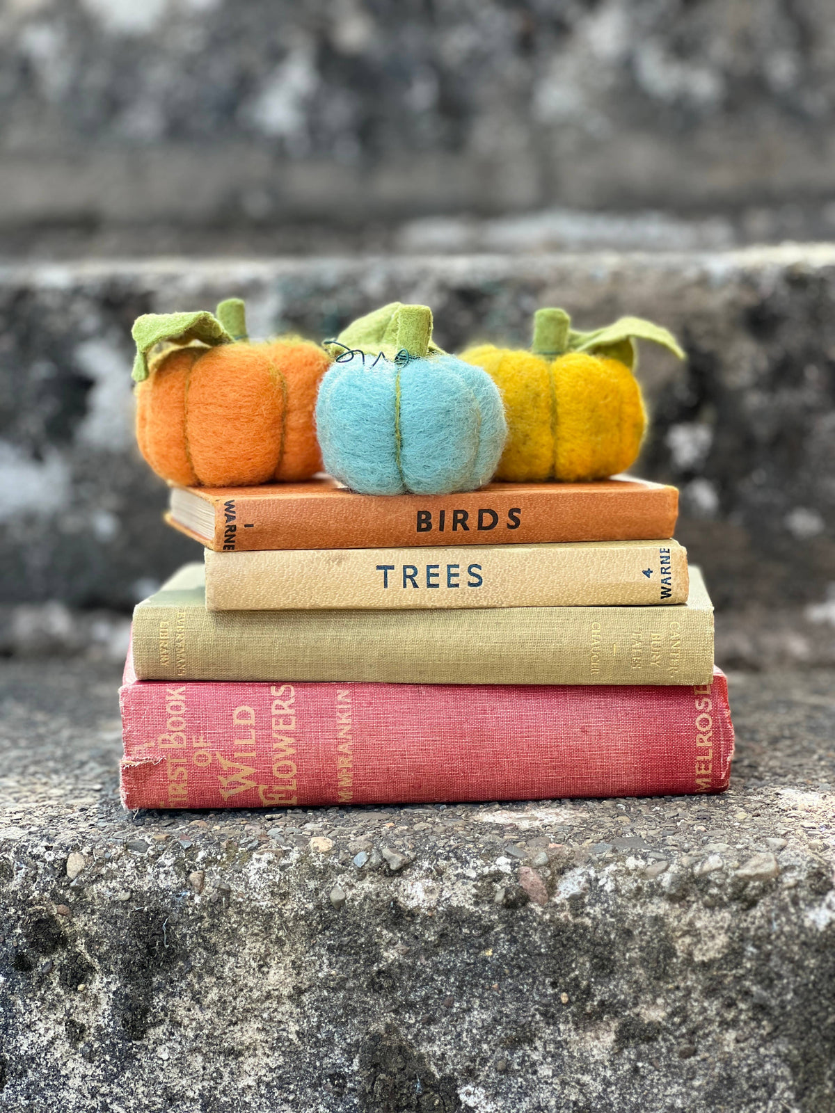 Woolly Pumpkins Needle Felting Craft Kit finished pumpkins arranged on vintage books in an autumn setting