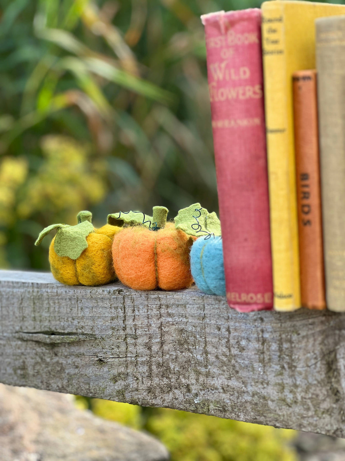 Woolly Pumpkins Needle Felting Craft Kit finished pumpkins styled with colourful books for an autumn display