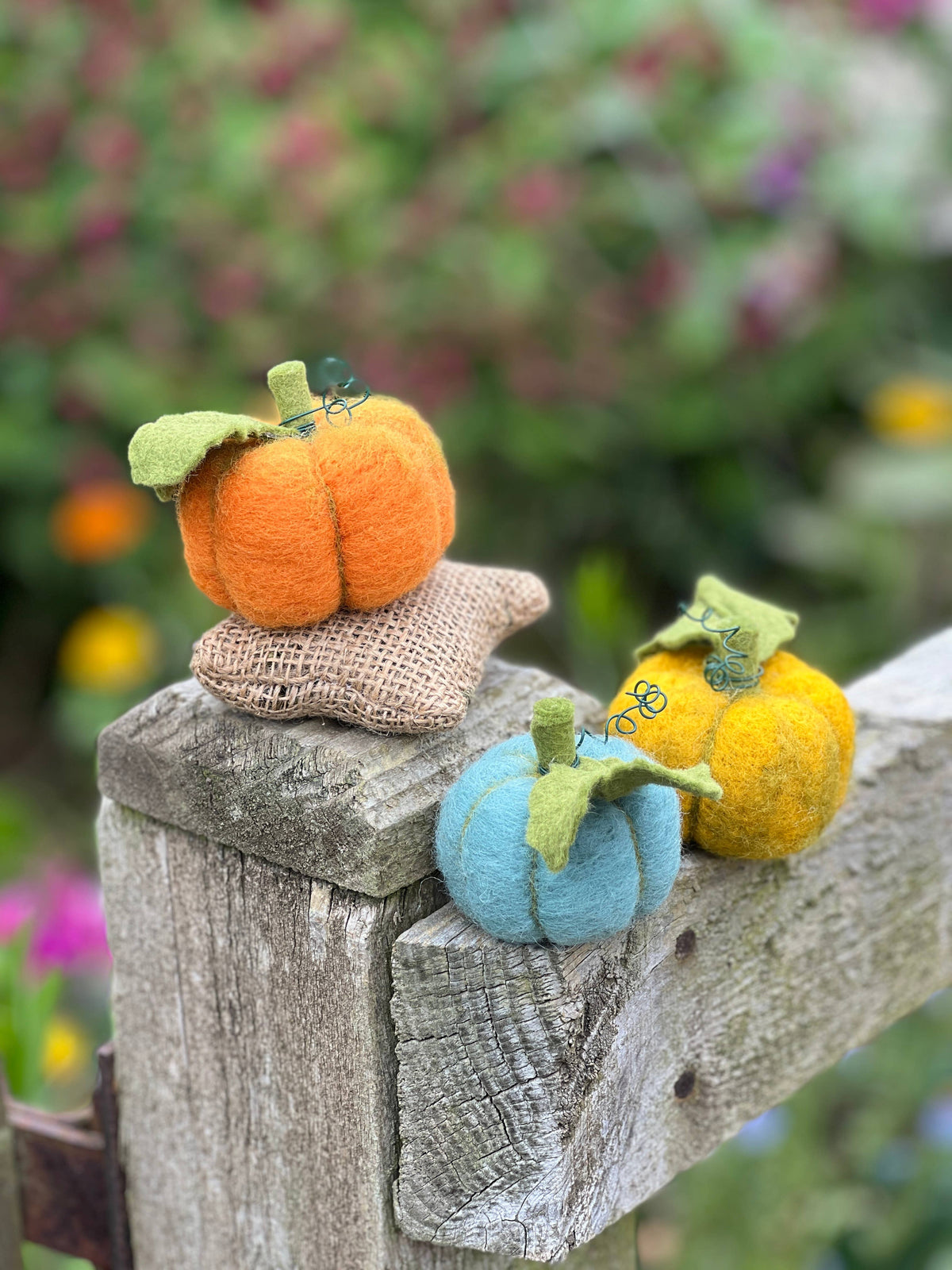 Woolly Pumpkins Needle Felting Craft Kit finished pumpkin decorations styled outdoors amongst autumn foliage