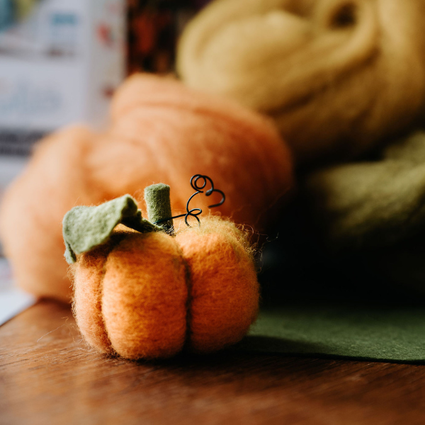 Woolly Pumpkins Needle Felting Craft Kit showing an orange wool pumpkin 