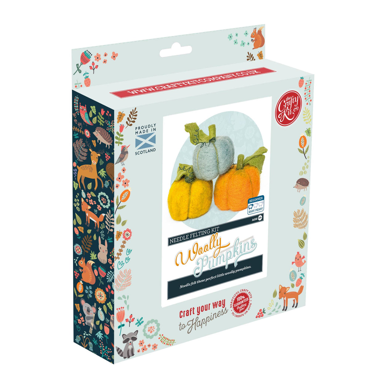 Woolly Pumpkins Needle Felting Craft Kit presented in The Crafty Kit Company packaging