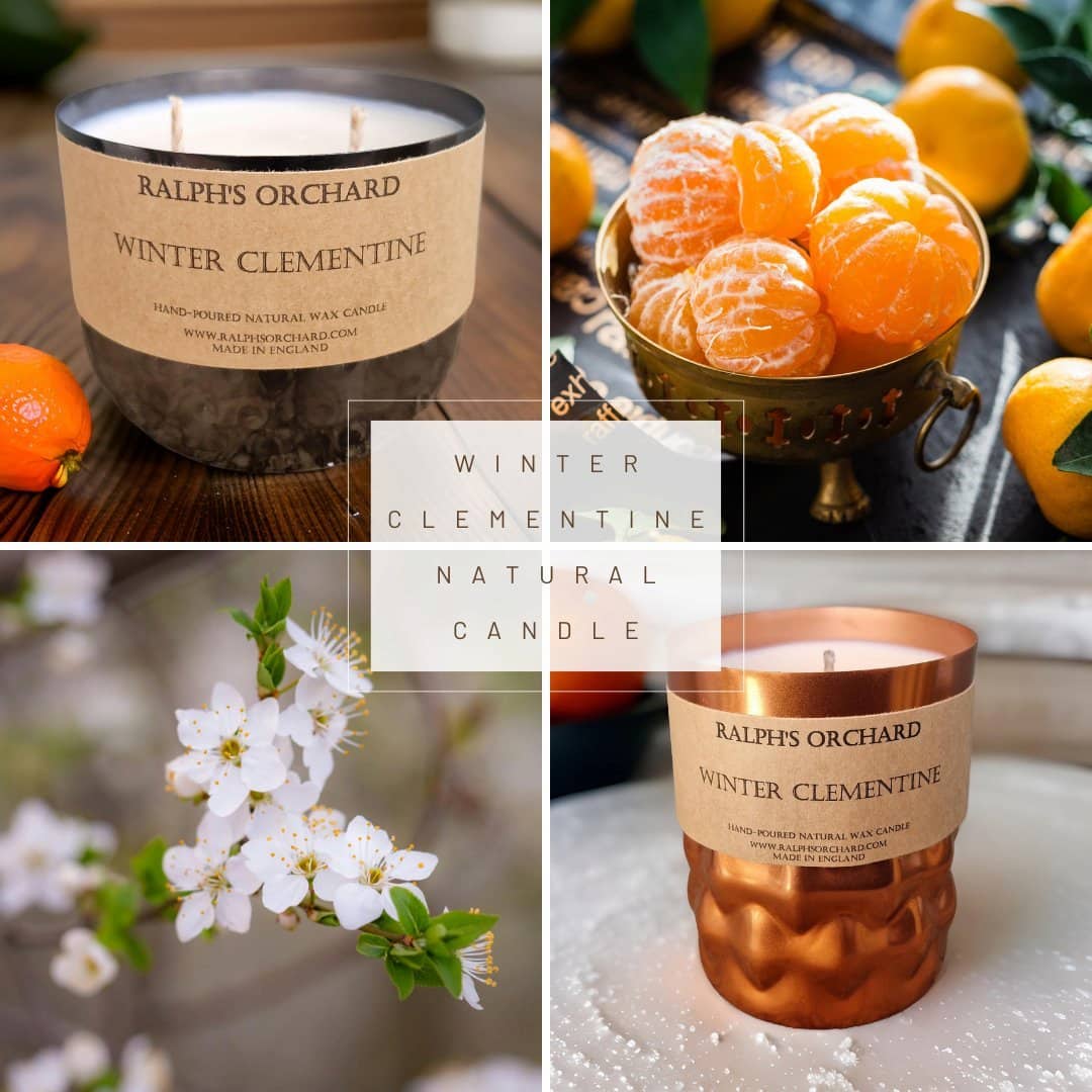Ralph's Orchard Winter Clementine Candle